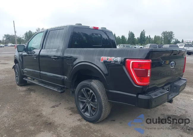 1FTFW1ED4MFC64352: 42410787