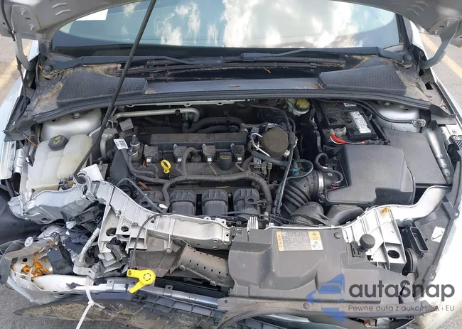 1FADP3K21FL273104: 42411930