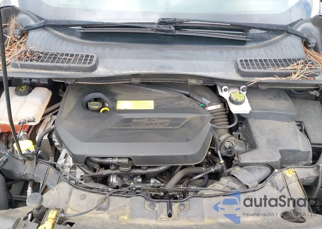 1FMCU0JXXFUB10676: 42412073