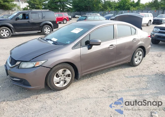 19XFB2F54FE008766: 42412149