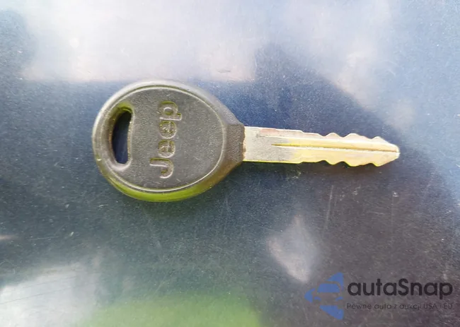 1J4FA29166P755209: 42412313