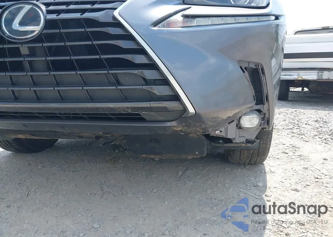 JTJYARBZ6J2099233: 42412361