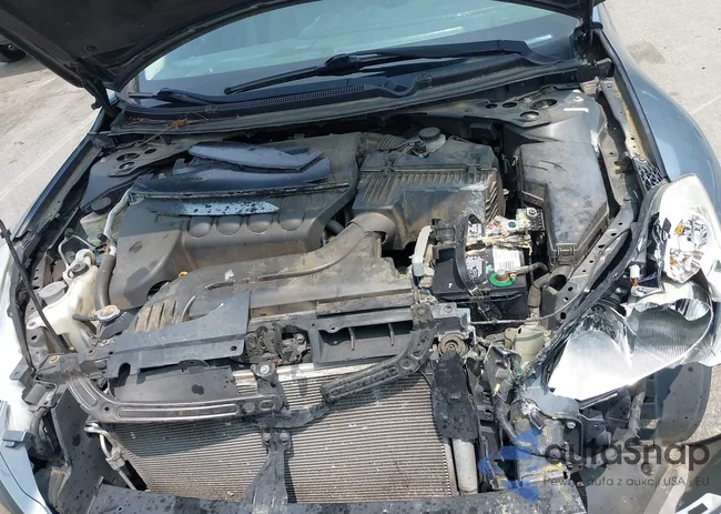 1N4AL2AP2AN531469: 42411550