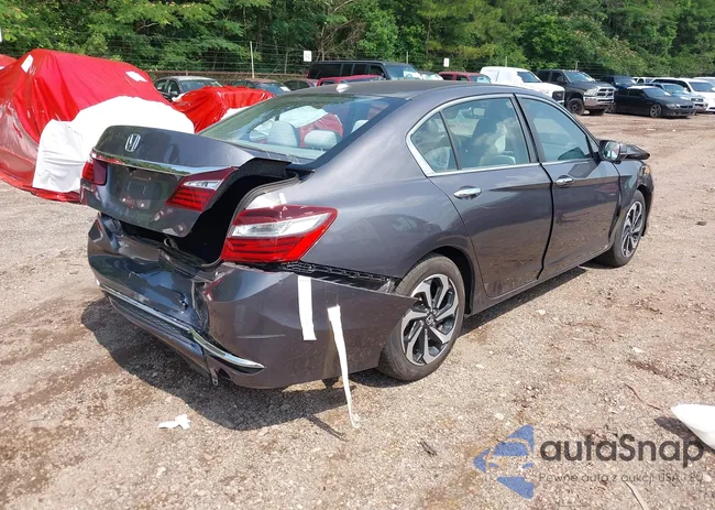 1HGCR2F70GA126562: 42411686