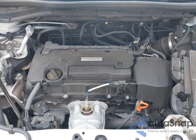 5J6RM4H9XGL074891: 42411693