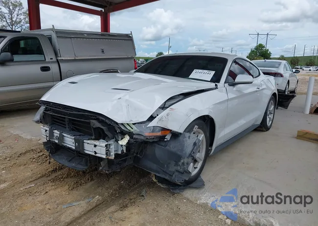 1FA6P8TH4J5165145: 42414241