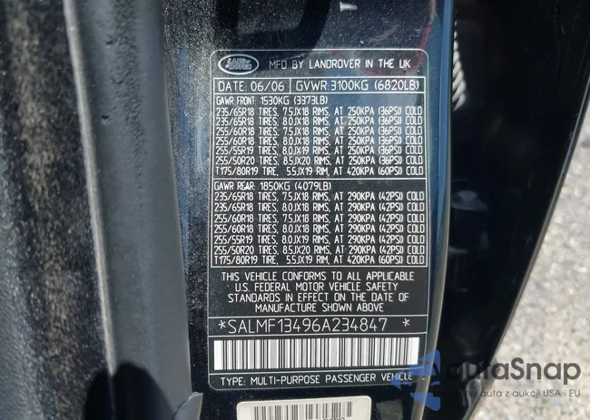 SALMF13496A234847: 42413803