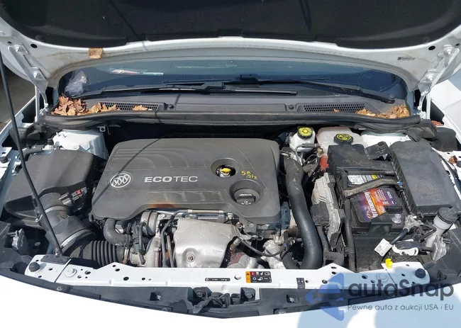 W04WH3N55KG344565: 42414931