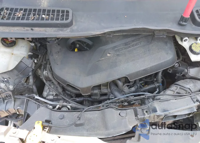 1FMCU0JX2EUA19786: 42415123