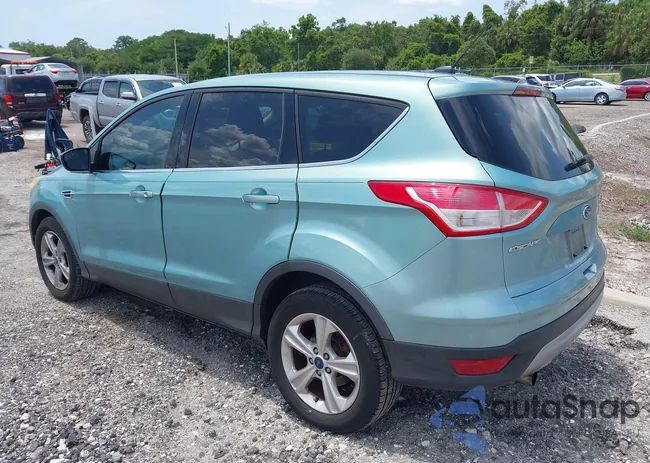 1FMCU0GX2DUB43806: 42414719