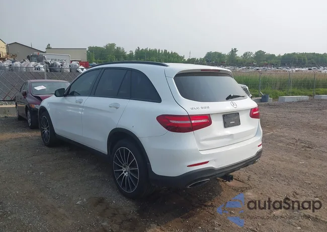 WDC0G4JB8GF084864: 42418145