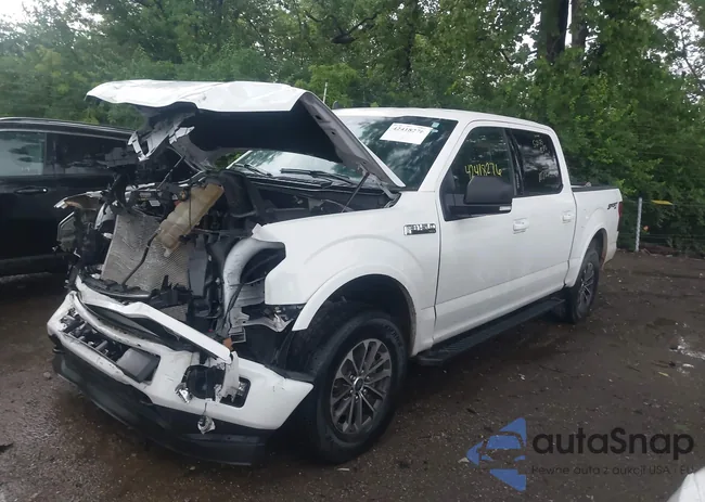 1FTEW1EP3KFD44003: 42418276