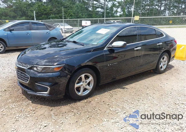 1G1ZB5ST6JF291617: 42417643