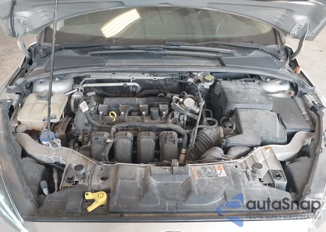 1FADP3F23GL373491: 42417663