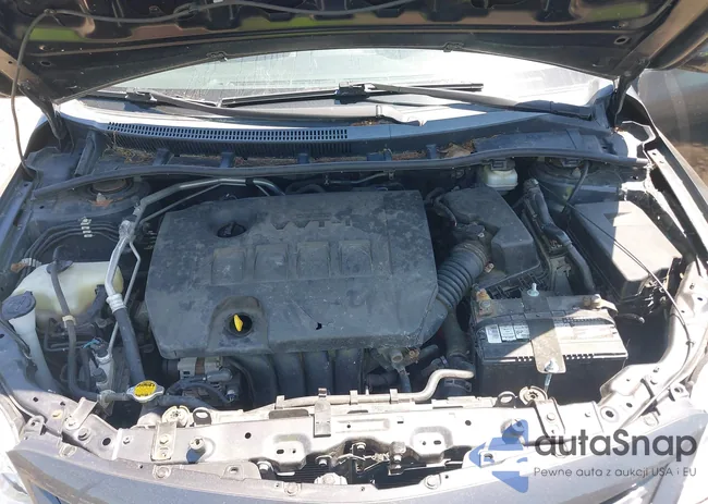 2T1BU4EE9DC947526: 42418653