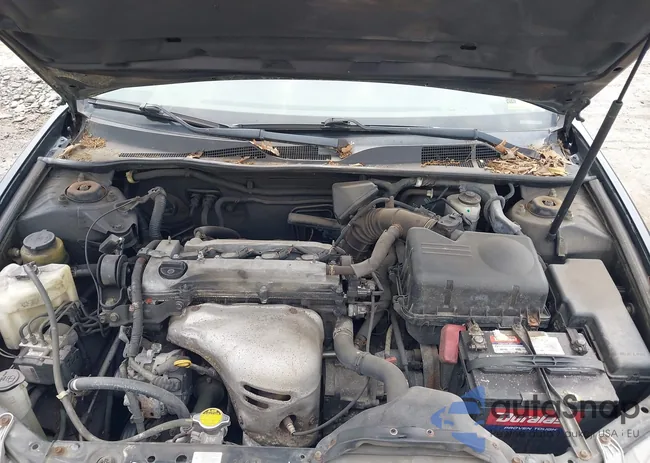 4T1BE32K55U005622: 42418784