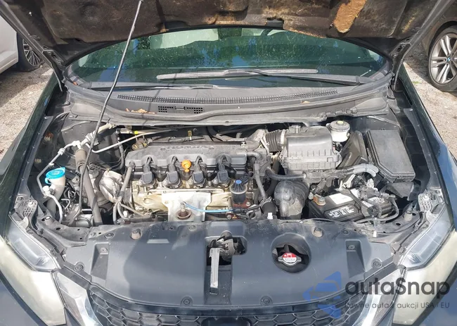 19XFB2F86EE057296: 42420244