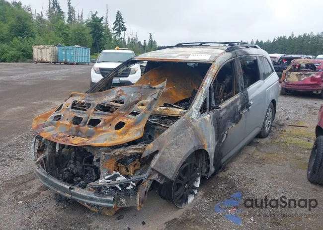 5FNRL5H47BB041880: 42419757