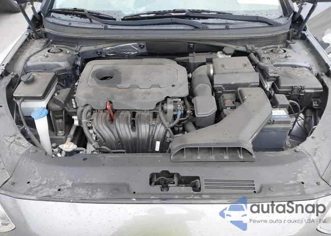 5NPE24AF5JH661361: 42420536