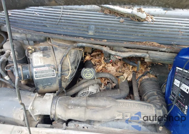 1FMCA11U6PZB41223: 42420719