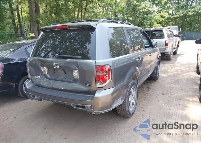 5FNYF18507B003645: 42420748