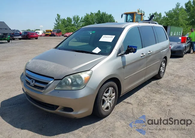 5FNRL38755B107829: 42422225