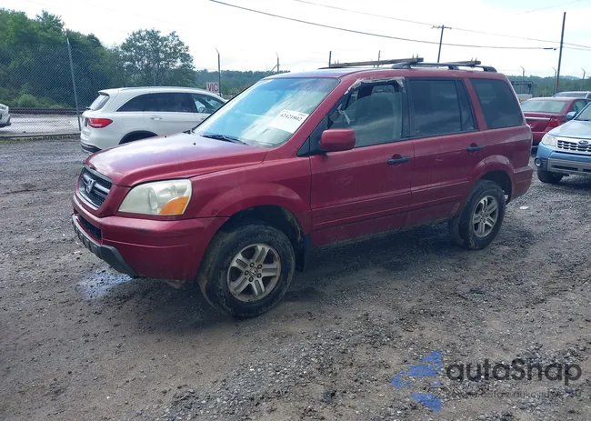 5FNYF18445B022400: 42421802