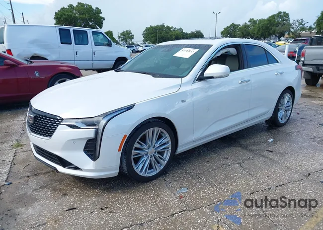 1G6DB5RK1N0135575: 42423113