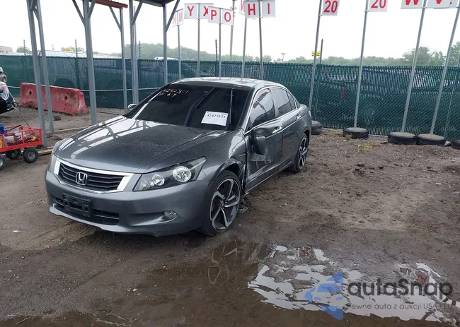 1HGCP36818A074462: 42423121