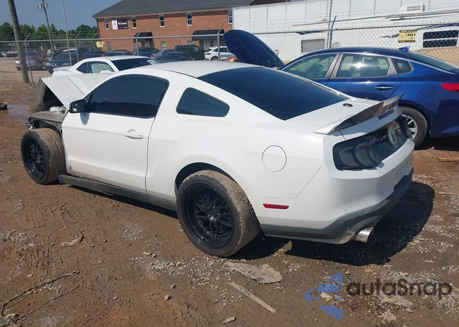 1ZVBP8CF8B5139492: 42423149