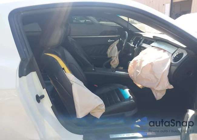 1ZVBP8CF8B5139492: 42423149