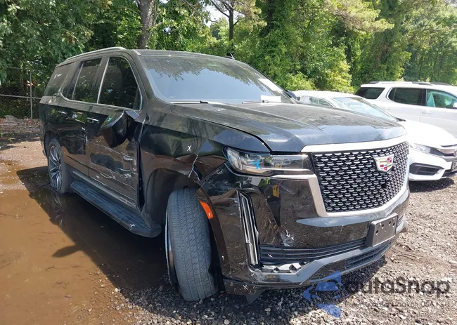 1GYS4CKL8PR456737: 42422723