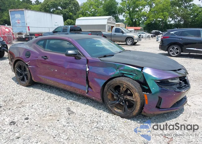 1G1FB1RS8L0105655: 42423843