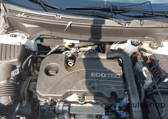 3GKALTEV2ML310276: 42423858