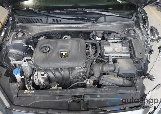 3KPF54AD9PE523202: 42424138