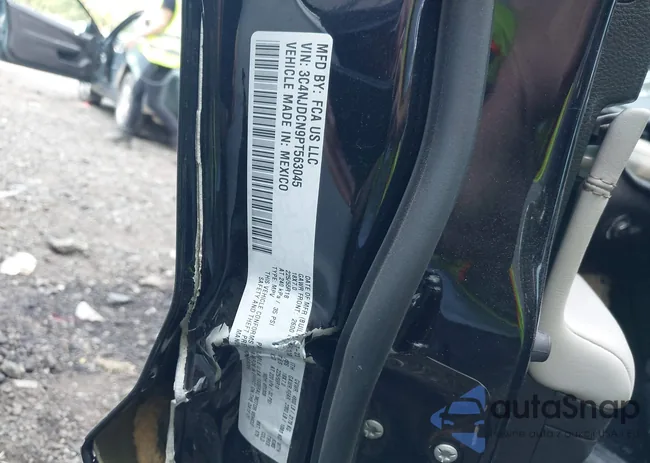 3C4NJDCN9PT563045: 42424341