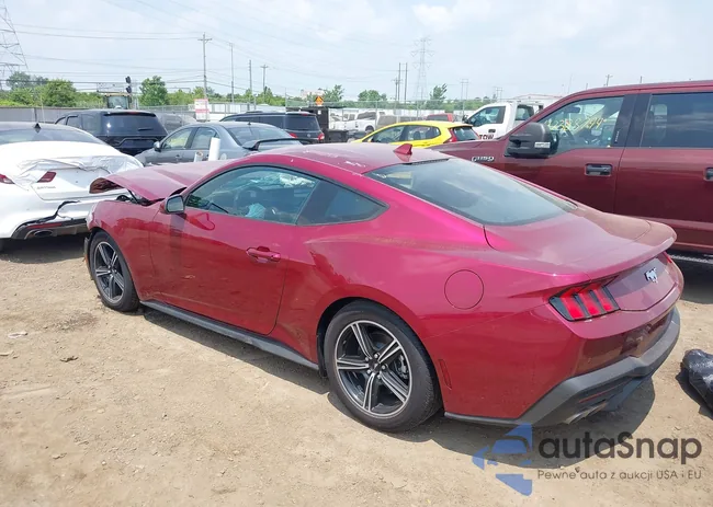 1FA6P8TH9S5101538: 42424384