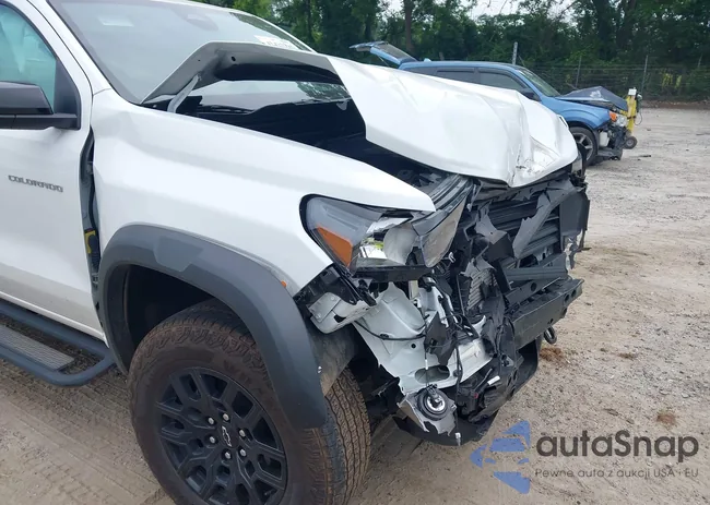 1GCPTEEK4R1204287: 42425386