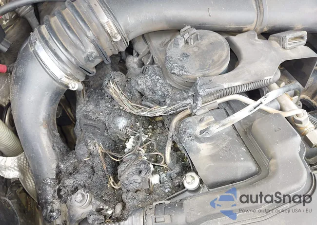 WBAPM5C55BE576242: 42425855