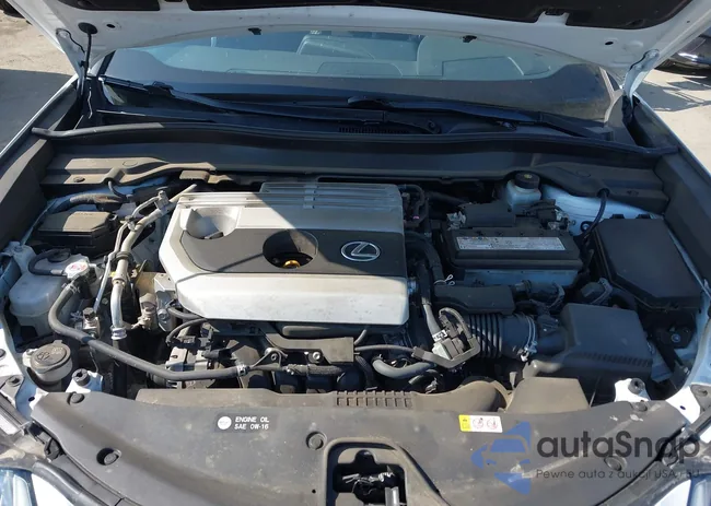 JTHX3JBH9M2036096: 42426007