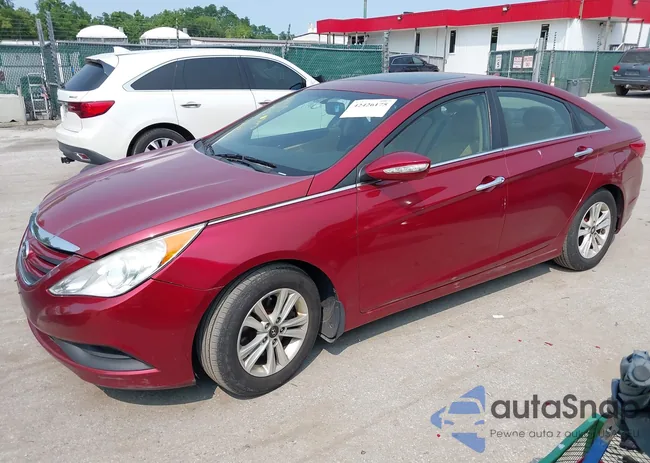 5NPEC4ACXBH248002: 42426175