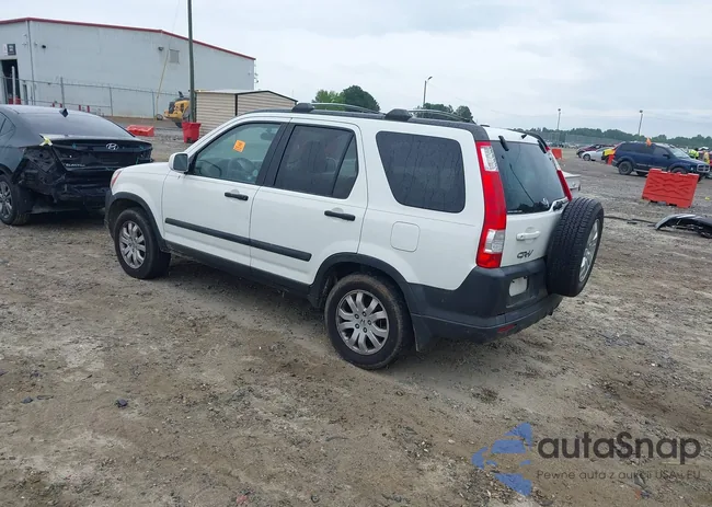 SHSRD78835U343353: 42426242