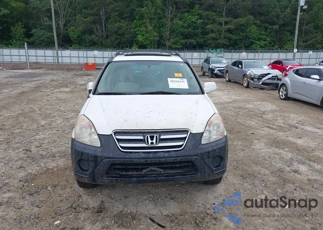 SHSRD78835U343353: 42426242