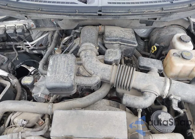 1FTPW14V49KC73906: 42425519