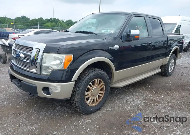 1FTPW14V49KC73906: 42425519