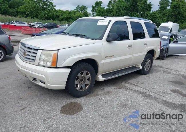 MVIN319038IND: 42427005