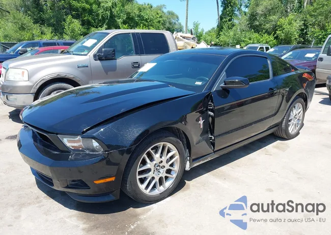 1ZVBP8AM3C5258893: 42427292