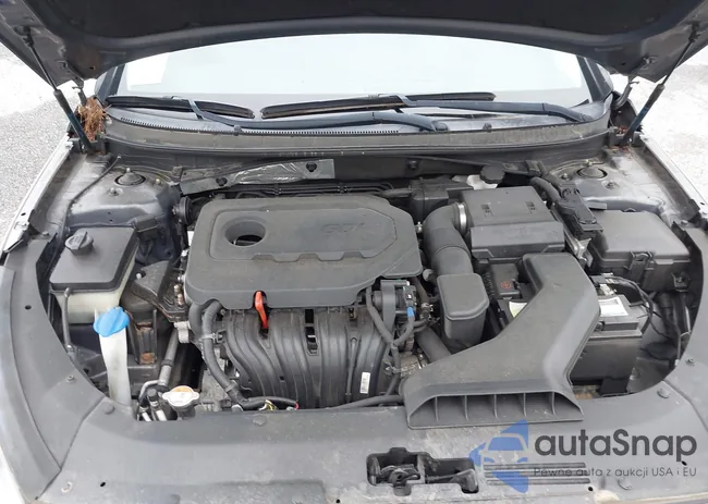 5NPE24AF4JH670293: 42428053