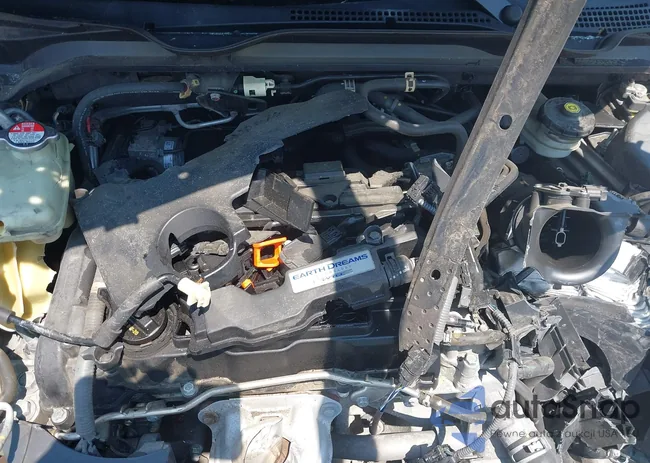 2HGFC2F59GH538445: 42428160