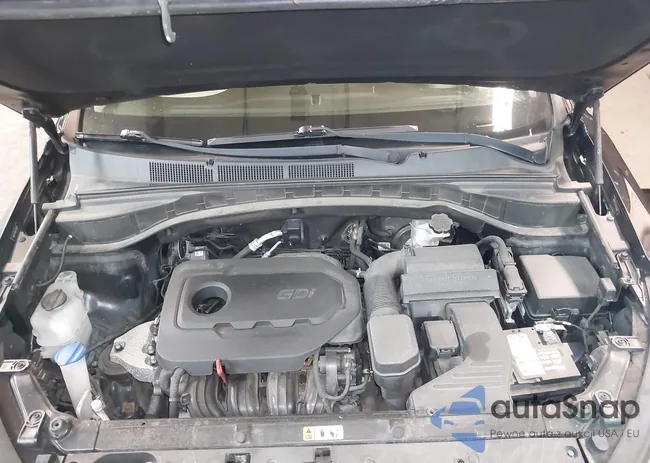 5NMZTDLB6JH099587: 42428425